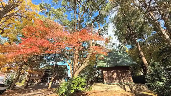 山崎神社(京都府)