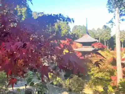 常樂寺(滋賀県)