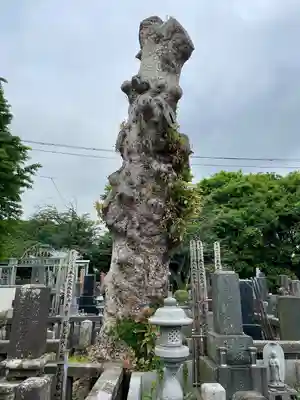 眞浄院(神奈川県)