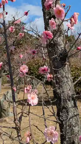 隨心院（随心院）(京都府)