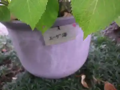 長谷寺のその他建物