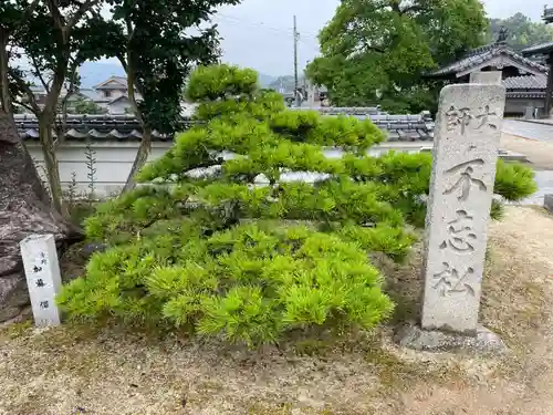 泰山寺(愛媛県)