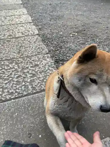 笠䅣稲荷神社(神奈川県)