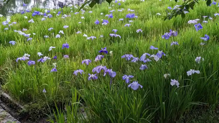 長岡天満宮(京都府)