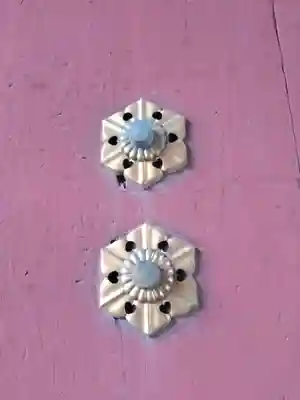 護国寺(東京都)