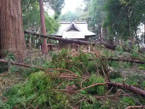 大生神社の自然