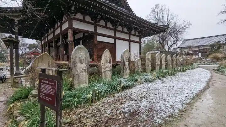 般若寺 ❁コスモス寺❁(奈良県)