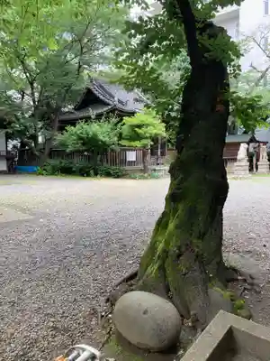 御園神社(東京都)