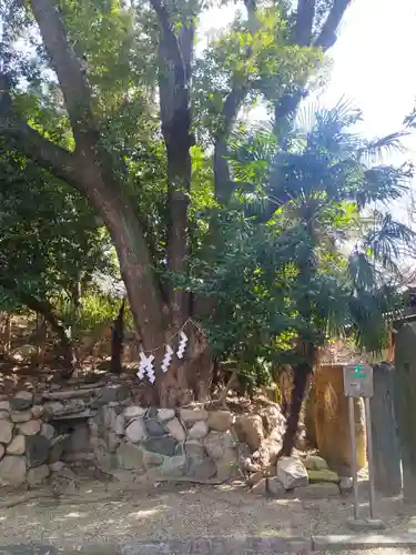 安居神社(大阪府)