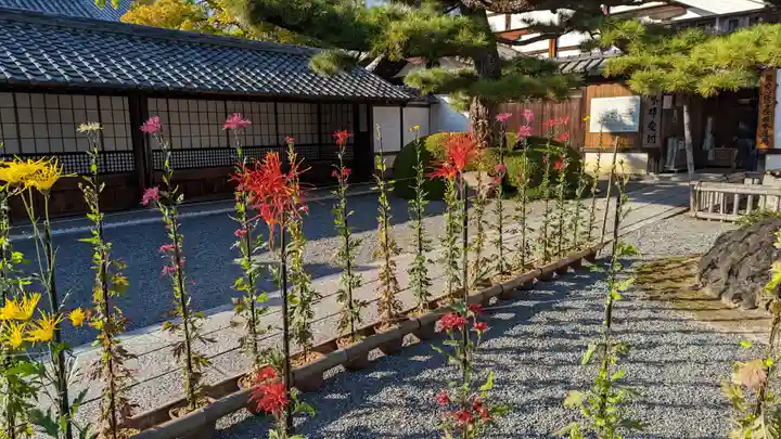 大覚寺(京都府)
