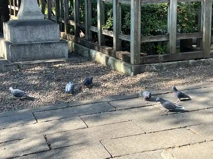 調神社(埼玉県)