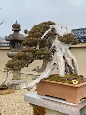 芳春院(京都府)