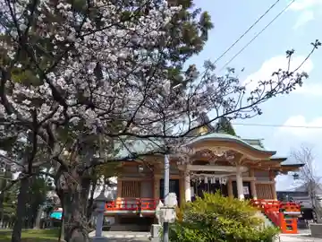 櫻谷神社(福井県)