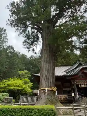 北口本宮冨士浅間神社(山梨県)
