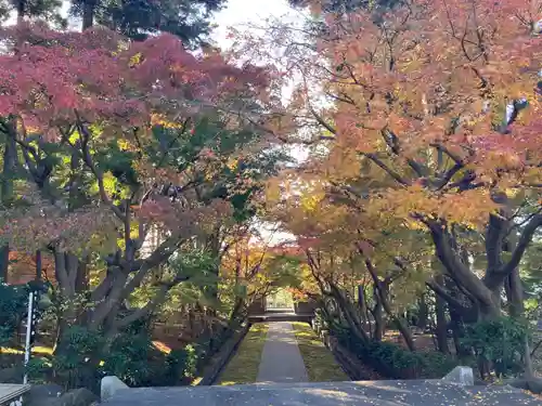 天嶽院(神奈川県)