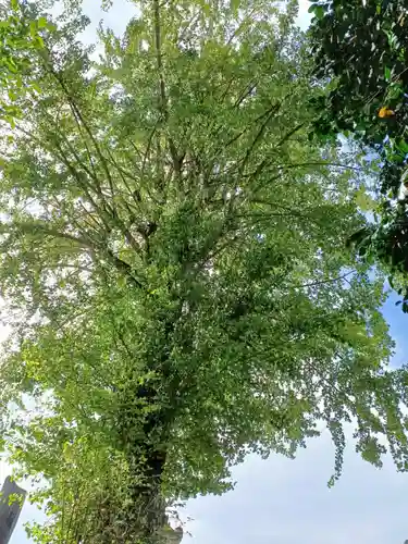 浄円寺(福島県)