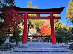 丹生川上神社（下社）の鳥居