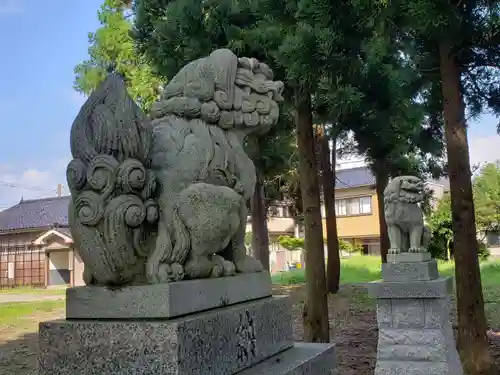 白山比咩神社の狛犬