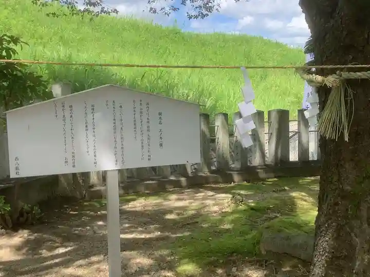 西八龍社の自然