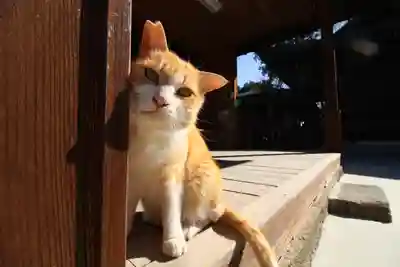 唐澤山神社(栃木県)