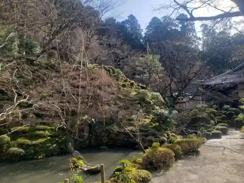 金剛輪寺の庭園