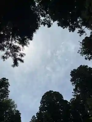 大宮温泉神社(栃木県)