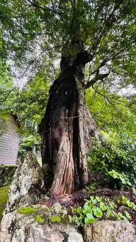 苅田比売神社(福井県)