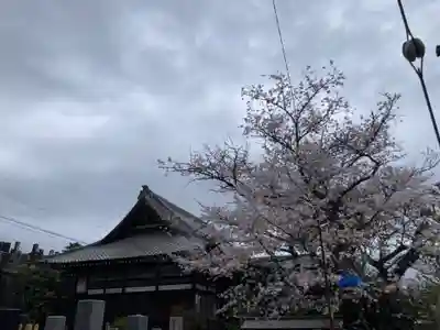 長福寺(神奈川県)