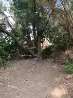 正一位稲荷大明神(千葉県)