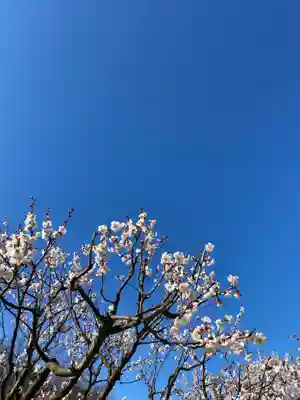 神前神社(岡山県)