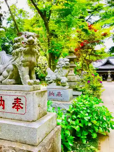 大宝八幡宮の狛犬