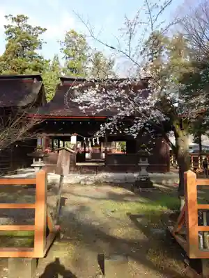 大井俣窪八幡神社(山梨県)