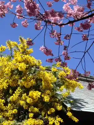蔵前神社(東京都)