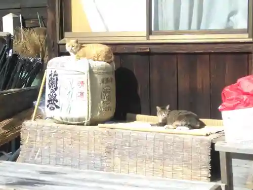 縣主神社の建物その他