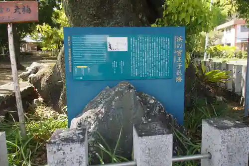 熊野三所大神社（浜の宮王子）(和歌山県)