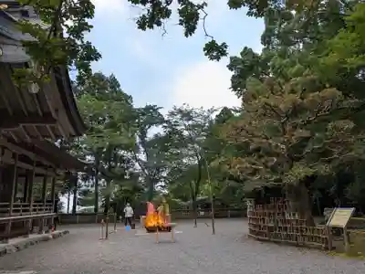 椿大神社(三重県)