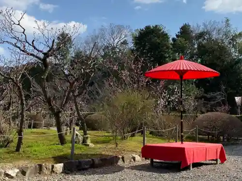 隨心院（随心院）(京都府)