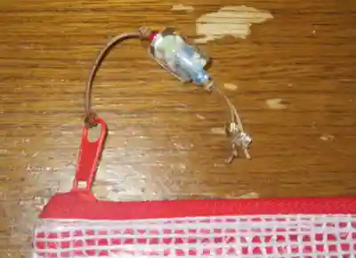 石川護國神社(石川県)