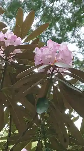 榛名神社(群馬県)