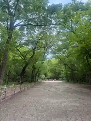 賀茂御祖神社（下鴨神社）(京都府)