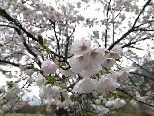 高善寺(福井県)