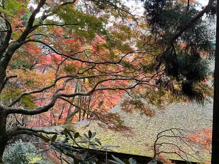 室生寺奥の院(奈良県)