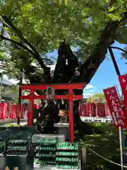 秩父今宮神社(埼玉県)