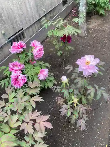 慈眼寺(神奈川県)