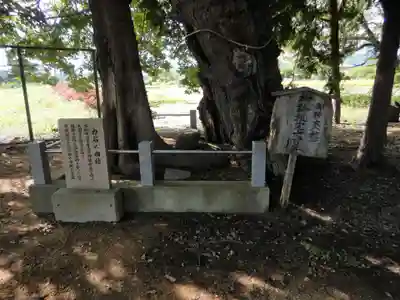 多祁御奈刀弥神社(徳島県)
