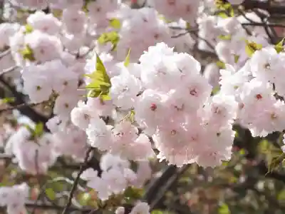立志神社の自然