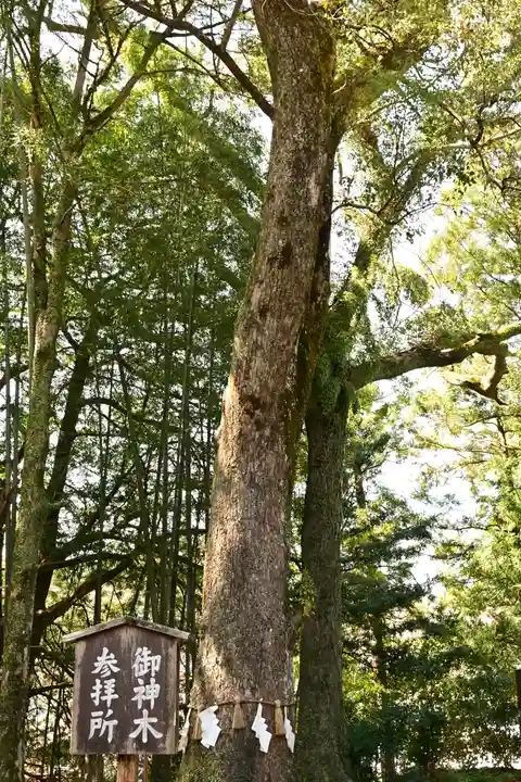 久礼八幡宮(高知県)