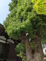 三輪神社(愛知県)