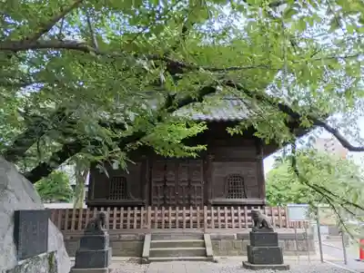 吉祥寺(東京都)