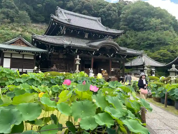 三室戸寺(京都府)